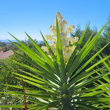 St Raphael - Cap Esterel Location Colette Apartment Saint-Raphael (Var)